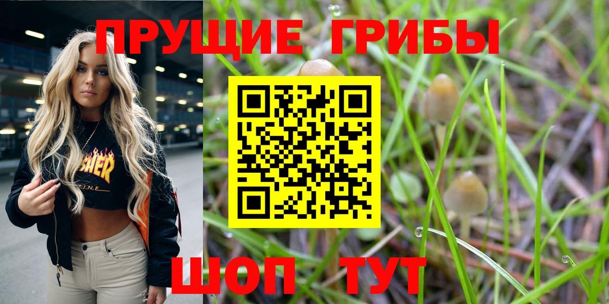Уссурийск  Галлюциногенные грибы Psilocybine cubensis  Вход с VPN  Галлюциногенные грибы прущие грибы 
